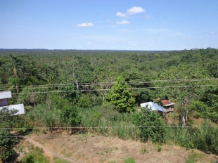 Imagen Vista Cuyabeno